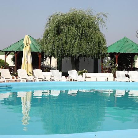 Hotel Rodiv Gaesti Экстерьер фото
